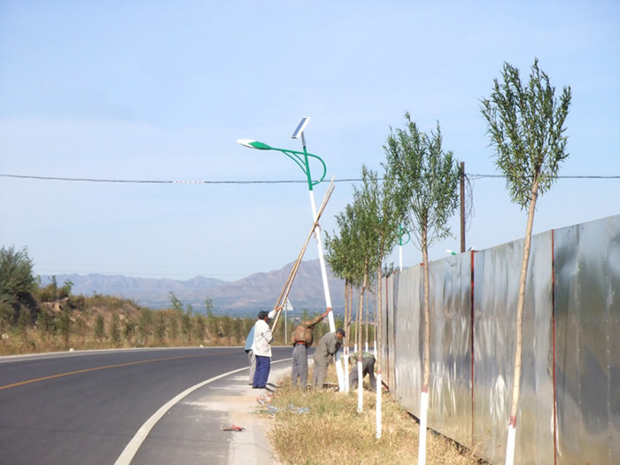 太陽能路燈工程案例